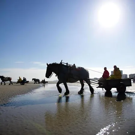 Near Sandy Beach, Cleaning Included * Nieuwpoort