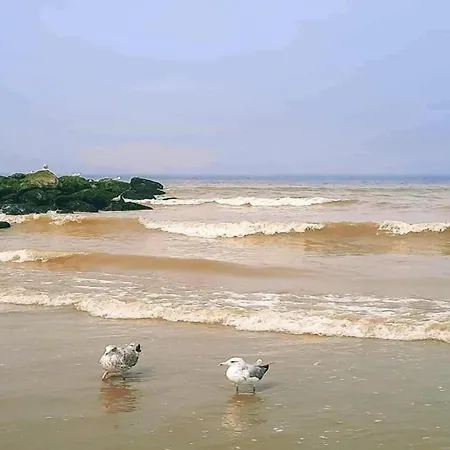 Near Sandy Beach, Cleaning Included Nieuwpoort